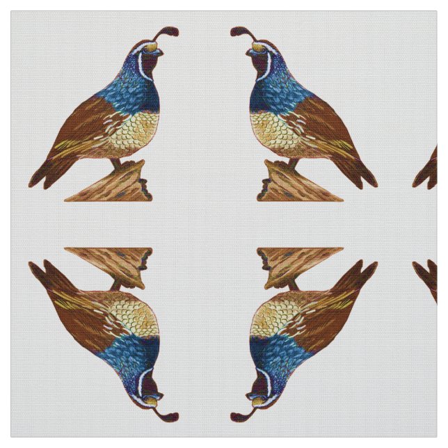 Tecido King Quail em Branco (Modelo)