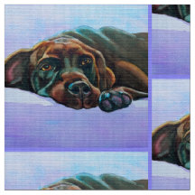 Tecido Labrador de Chocolate Relaxado