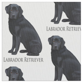 Tecido Labrador retriever preto