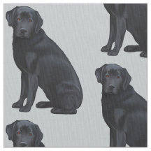 Labrador retriever preto