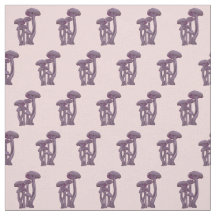 Laccaria Mushroom -