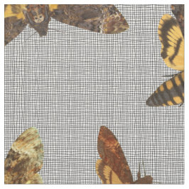Tecido Lachesis do Acherontia - Morte-cabeça Hawkmoth