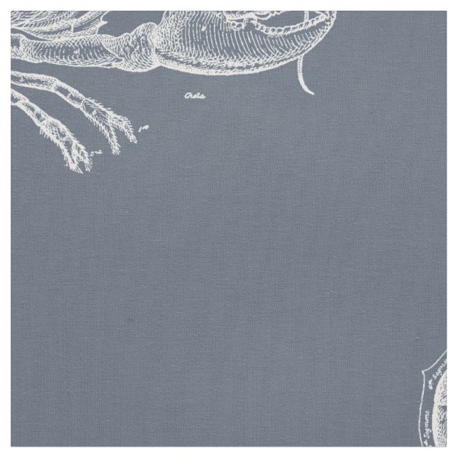 Tecido Lagosta (Detalhe)