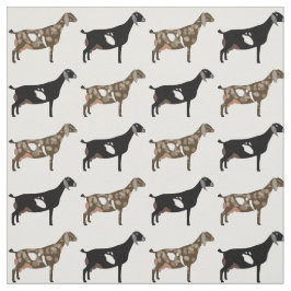 Tecido Leite Nubiano Goats em Branco