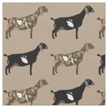Leite Nubiano Goats on Tan