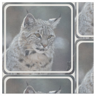 Tecido Lince surpreendente