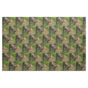 Tecido Mãe Moose