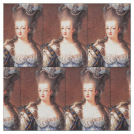 Tecido Marie Antoinette francês Paris