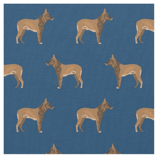 Tecido marinho de cães belga Malinois (Detalhe)