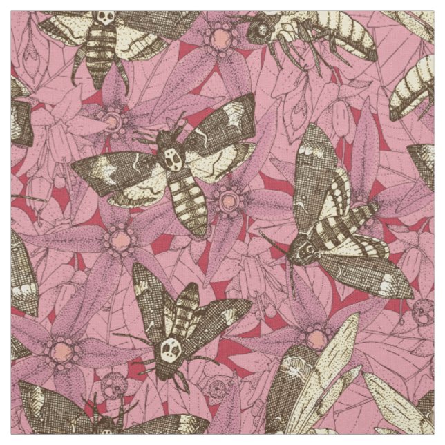 Tecido mariposa esfinge da morte rosa (Modelo)