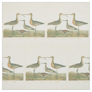 Tecido Marsh Bird Curlew Snipe Birding