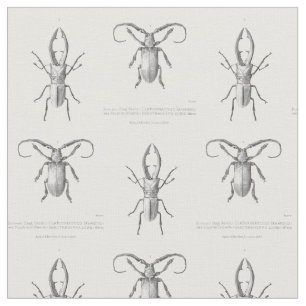 Tecido Matéria têxtil da ilustração do besouro do vin