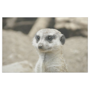 Tecido Meerkat