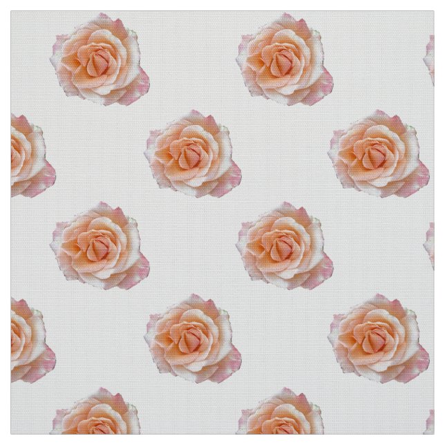 Tecido Meia-Tecido Rosa Rosa Rosa Rosa Rosa Rosa (Modelo)