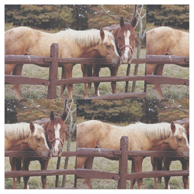 Tecido Melhores Amigos (Detalhe)