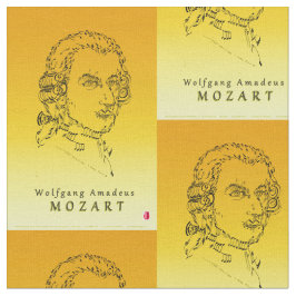 Tecido Mozart enfrenta a música