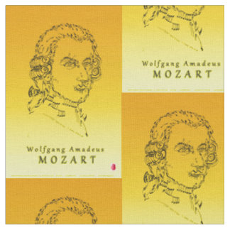 Tecido Mozart enfrenta a música