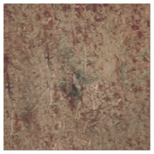 Mulher Com Cavalo Branco - Impressão