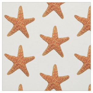 Tecido natural da foto da estrela do mar