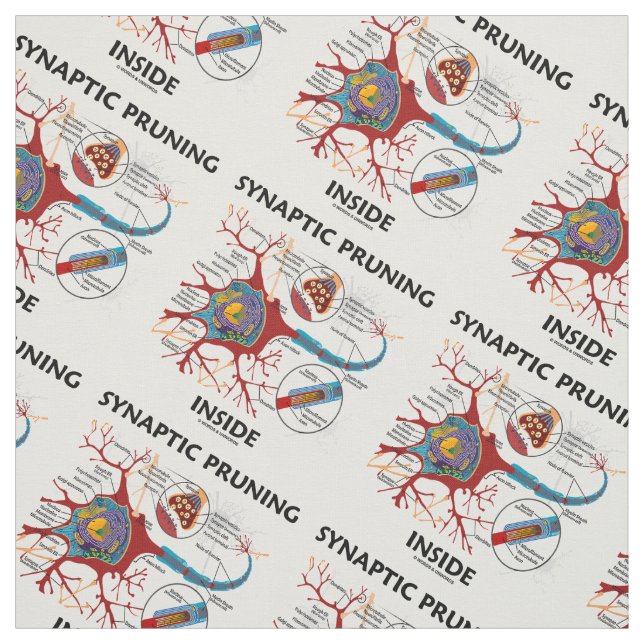 Tecido Neurologia interna de poda Synaptic da sinapse do (Modelo)