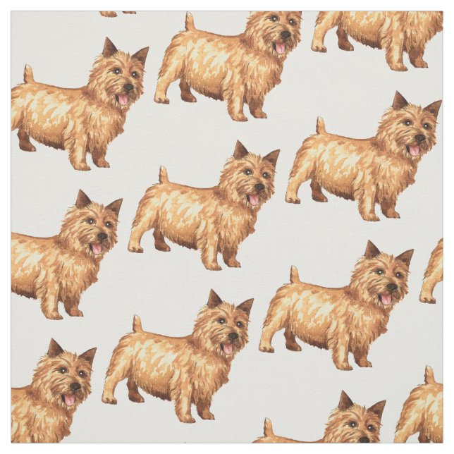 Tecido Norwich Terrier (Modelo)