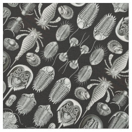 Tecido O Aspidonia de Ernst Haeckel