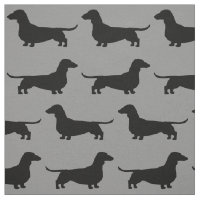O cão do Dachshund mostra em silhueta o teste