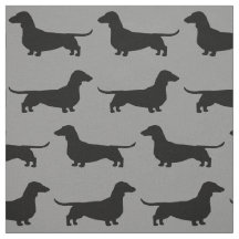 O cão do Dachshund mostra em silhueta o teste