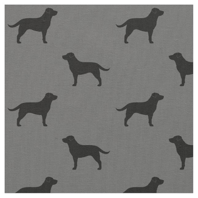 Tecido O cão preto dos Retrievers de Labrador mostra em (Detalhe)