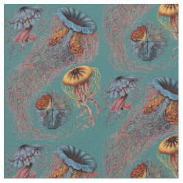 Tecido O Discomedusae de Ernst Haeckel