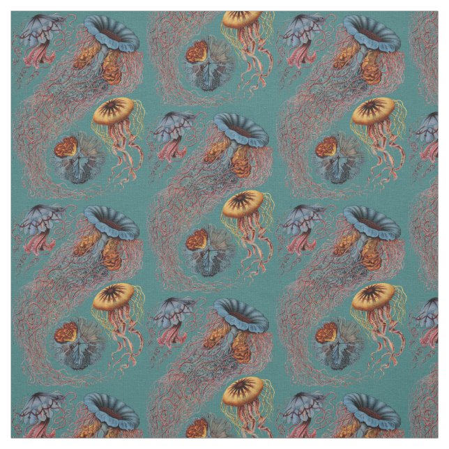 Tecido O Discomedusae de Ernst Haeckel (Modelo)