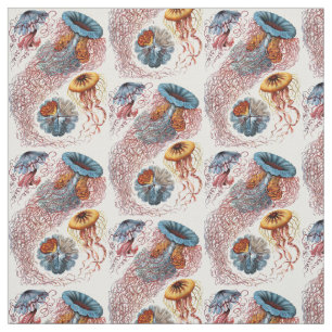 Tecido O Discomedusae de Ernst Haeckel