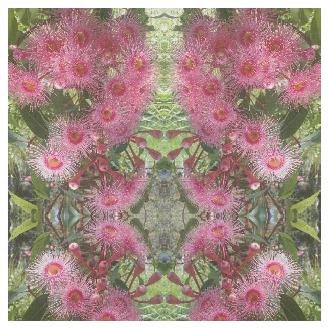 Tecido O eucalipto cor-de-rosa de Gumnut floresce o (Modelo)
