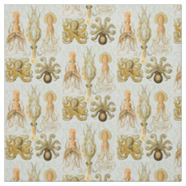Tecido O Gamochonia de Ernst Haeckel