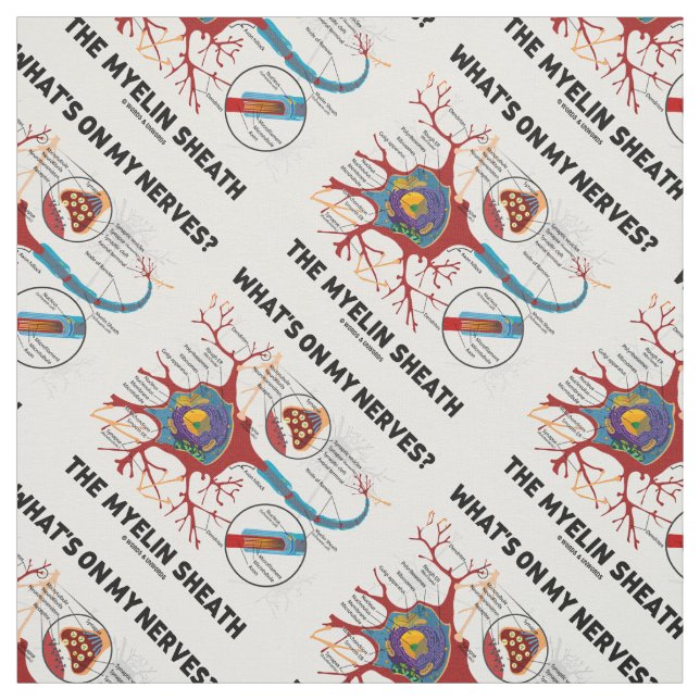 Tecido O que há nos meus nervos? O Myelin Sheath (Modelo)