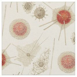 Tecido O Radiolarian de Ernst Haeckel