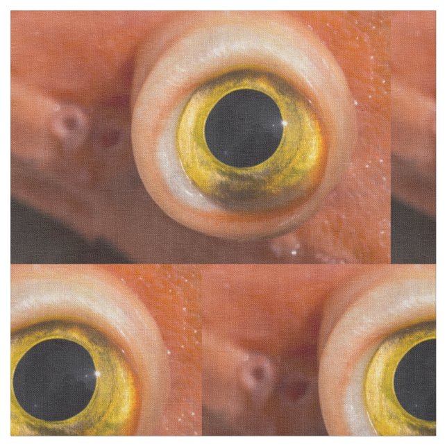 Tecido Olho De Peixe-Foguete (Detalhe)