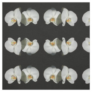 Tecido Orquídeas brancas românticas, foto floral tropical