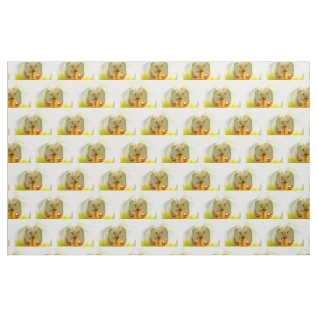 Tecido orquídeas cor-de-rosa-branca (Fat Quarter)