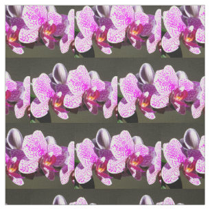 Tecido Orquídeas Rosa