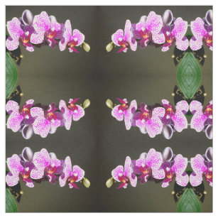 Tecido Orquídeas Rosa