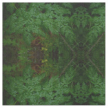 Os Ferns