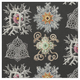 Tecido Os formulários sofisticados da natureza