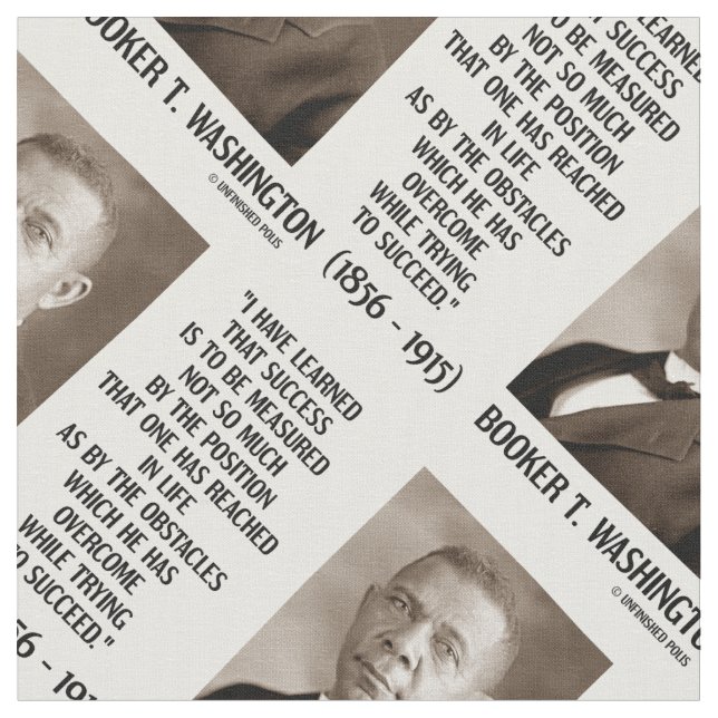 Tecido Os obstáculos de Booker T. Washington superados (Detalhe)