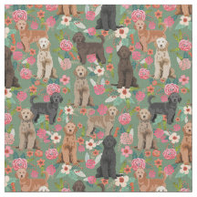 Ouro Doodles vintage verde