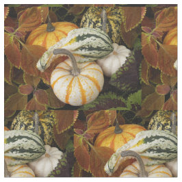 Tecido Padrão de Fotografia do Autumn Squash Still Life