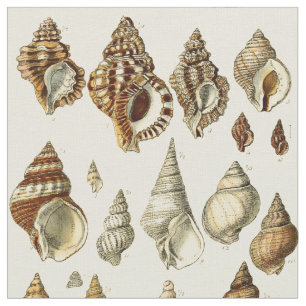 Tecido Padrão de Ilustrações de Vintage Seashell