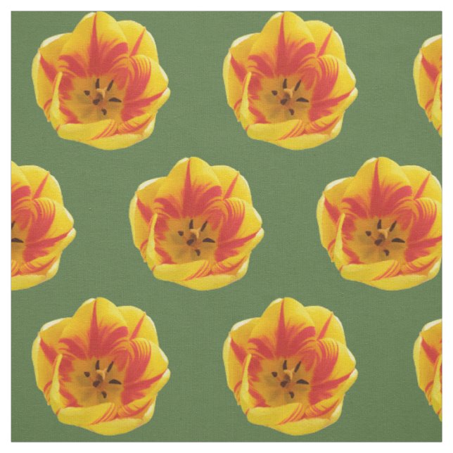 Tecido Padrão Floral Fiery Tulip (Modelo)