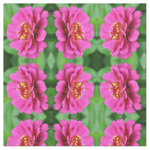 Tecido Padrão Natural da Flor da Zinnia Rosa