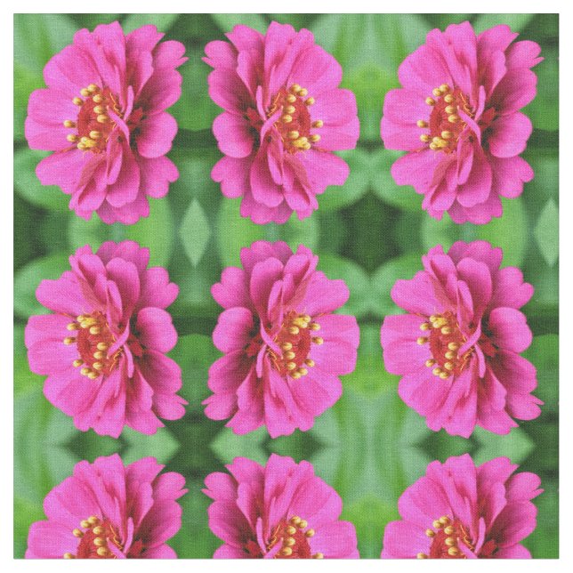 Tecido Padrão Natural da Flor da Zinnia Rosa (Detalhe)